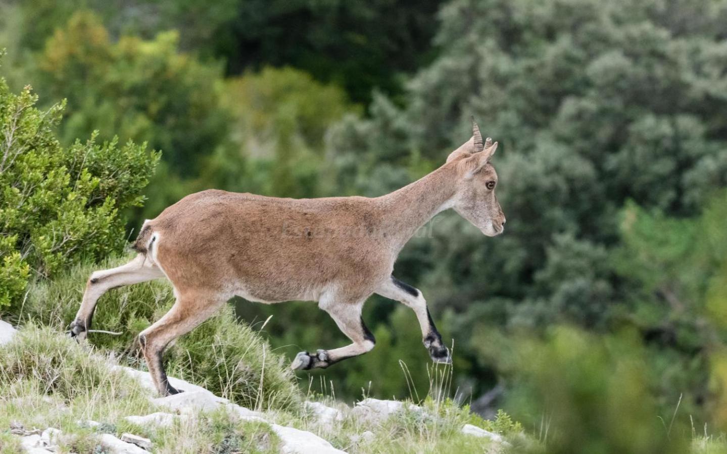 Casa Rural Parc Natural Dels Ports Alfara de Carles Zewnętrze zdjęcie